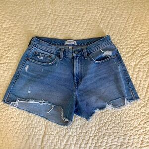 Abercrombie & Fitch The Boyfriend Shorts Mid-Rise Curve Love size 29